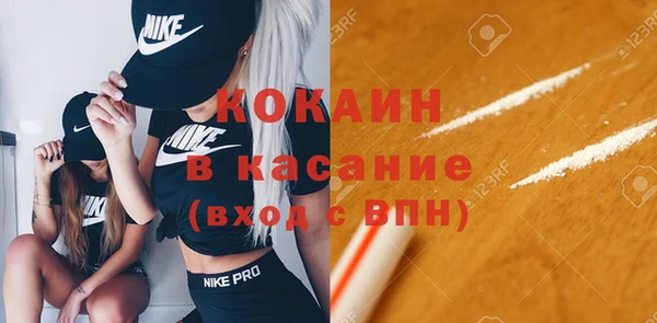 амф Горняк