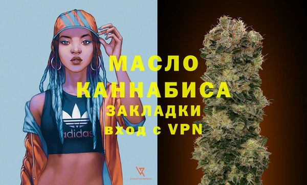 амф Горняк