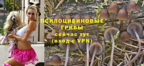 первитин Горно-Алтайск