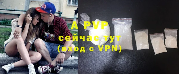 амф Горняк